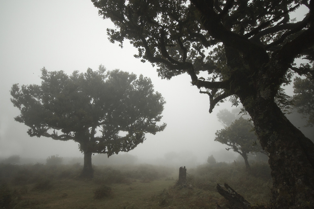 6. Platz Marcus Jackscha